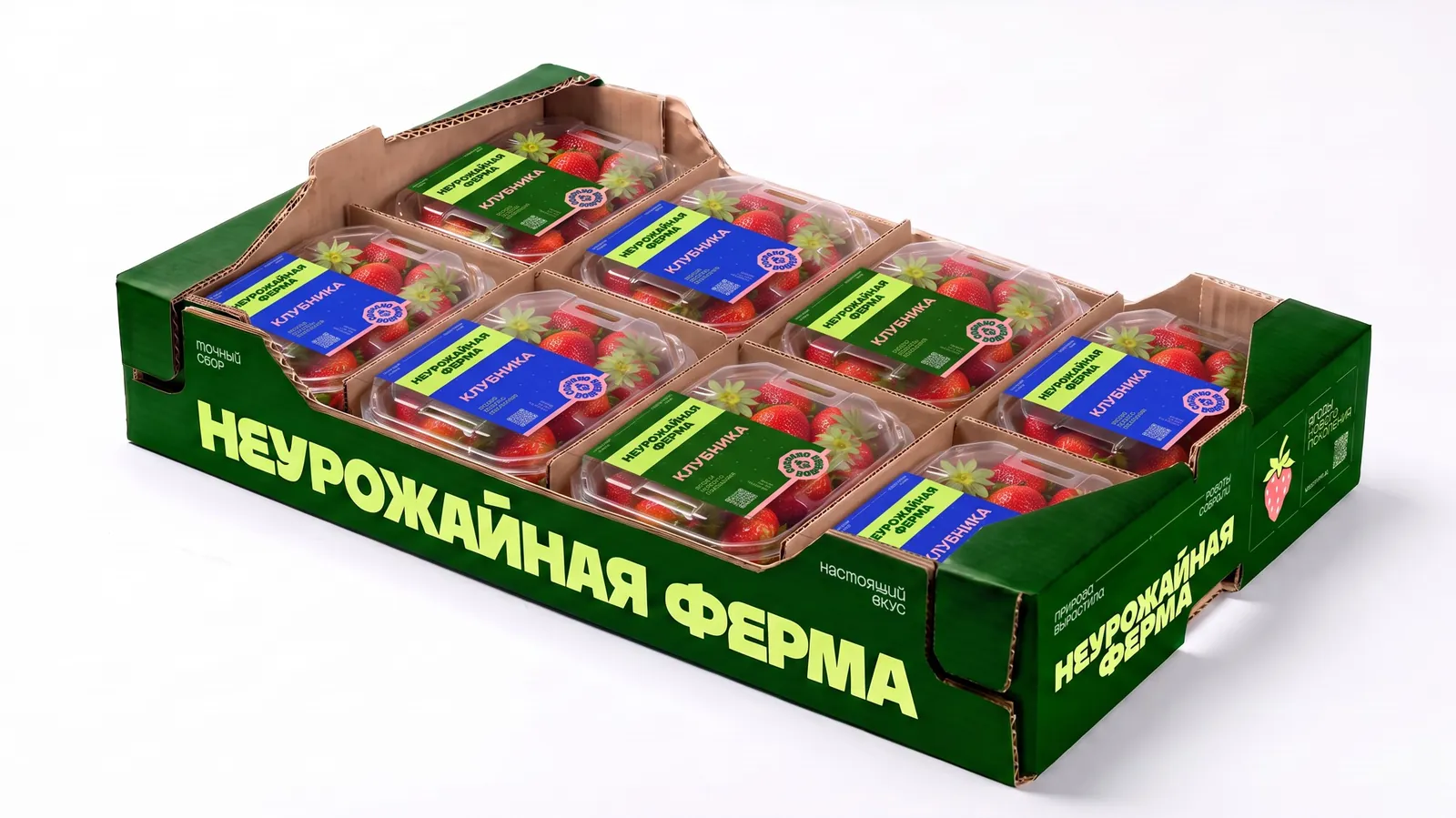 Транспортный короб с лотками клубники