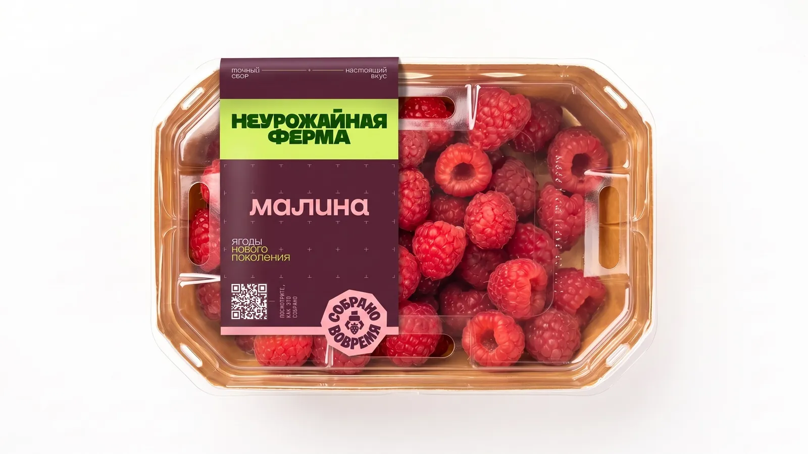 Малина в прозрачном лотке с бордовой этикеткой